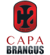 logo_capa_transparent